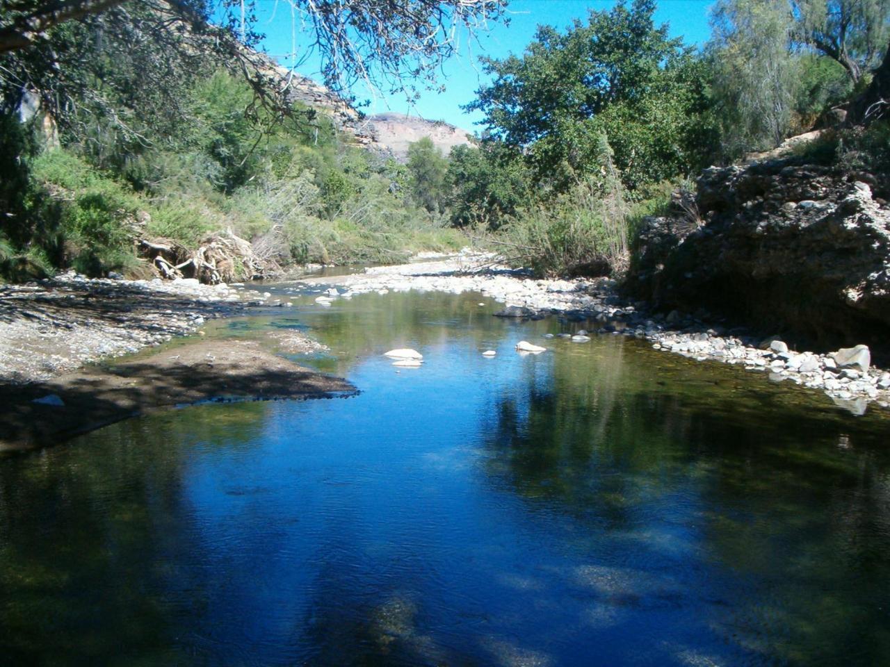 ססריאם Tsauchab River Camp מראה חיצוני תמונה